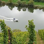 Moselanker De In Mosel