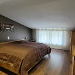 Moselanker De In Mosel Enkirch