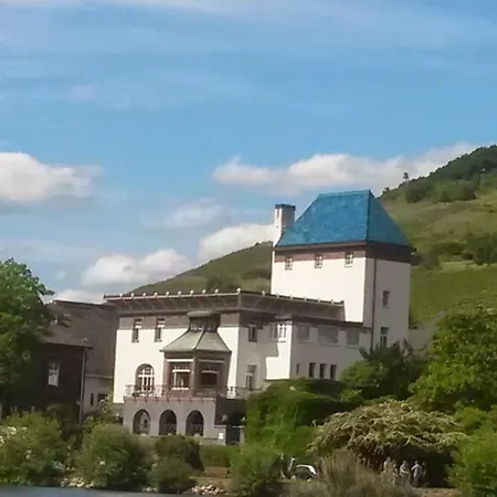 Moselanker De In Mosel Дом отдыха