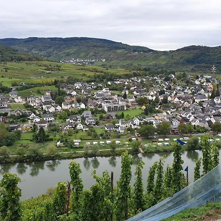 Moselanker De In Mosel Dom wakacyjny