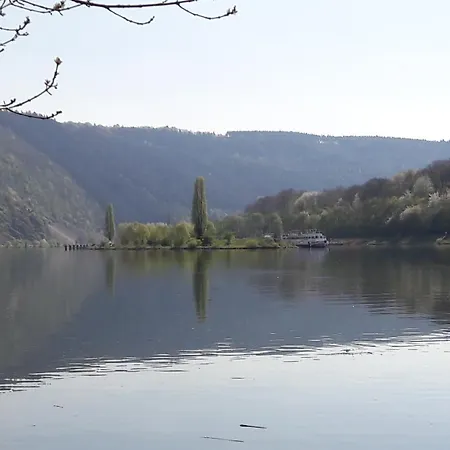 Moselanker De In Mosel Σπίτι διακοπών *