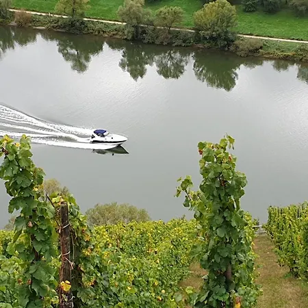 Moselanker De In Mosel