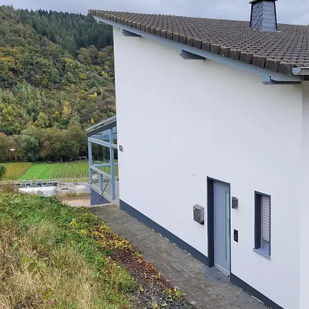 Moselanker De In Mosel