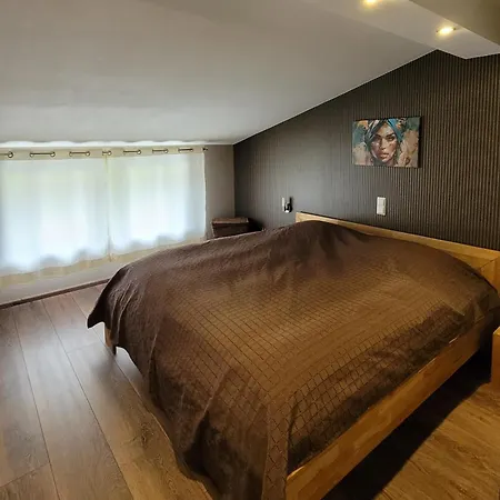 Moselanker De In Mosel * Enkirch