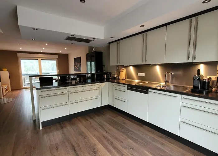 Moselanker De In Mosel Enkirch