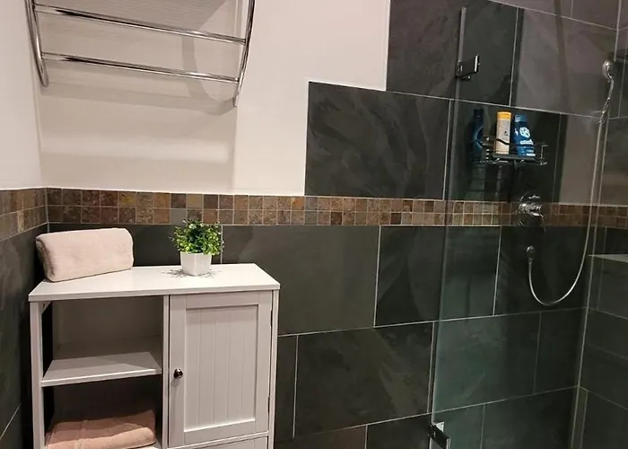 Moselanker De In Mosel * エンキルヒ