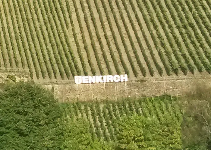 Nyaraló Moselanker De In Mosel