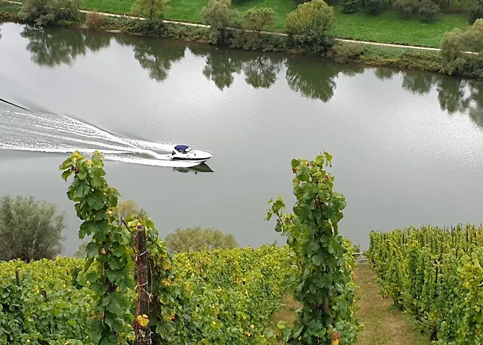 Moselanker De In Mosel
