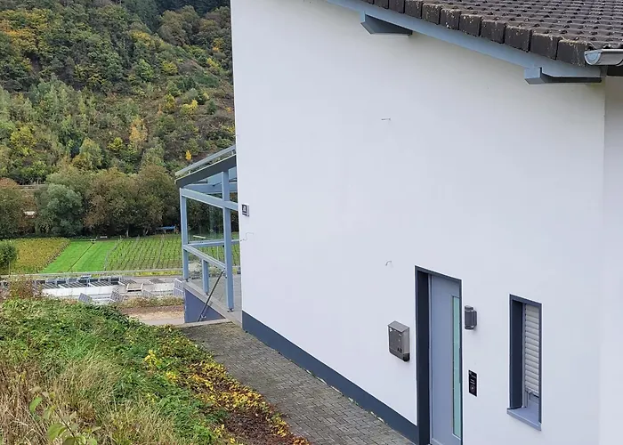 Moselanker De In Mosel